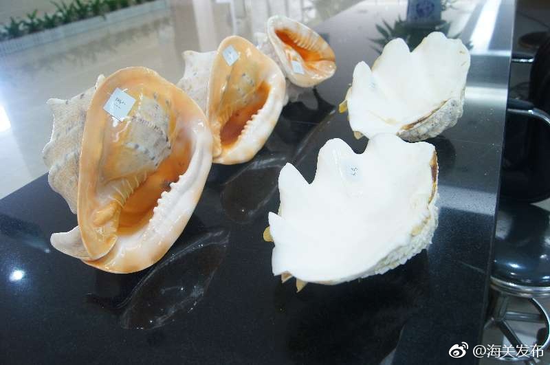 成年人性爱网站