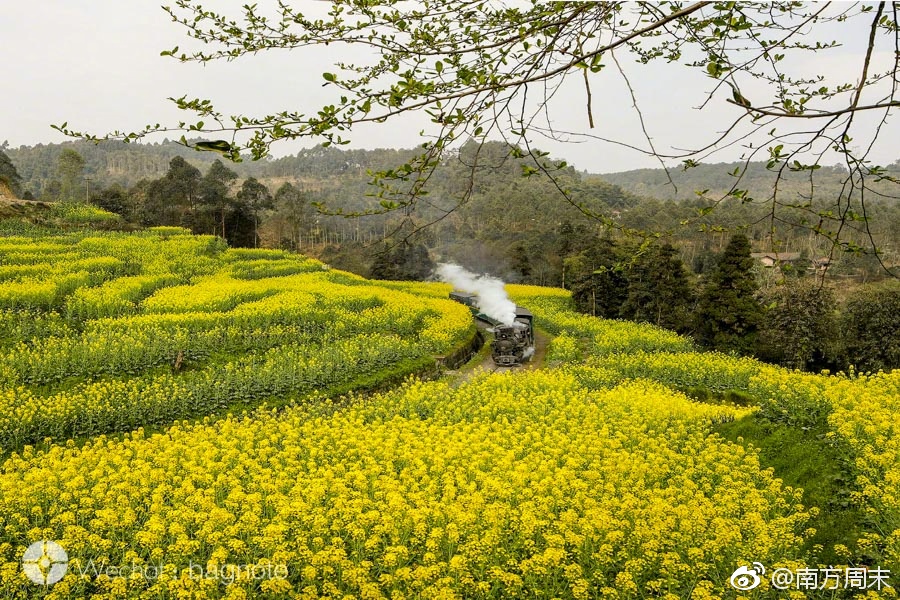 H无码动漫