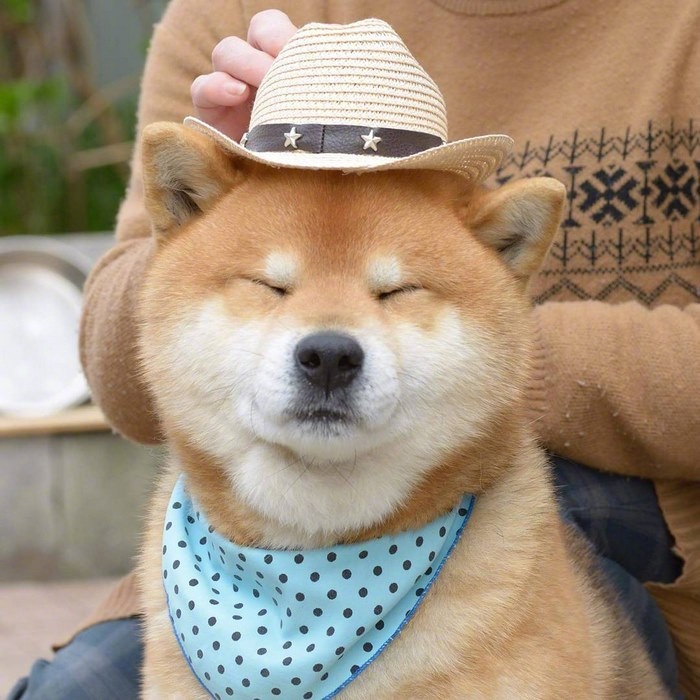 比基尼戰士