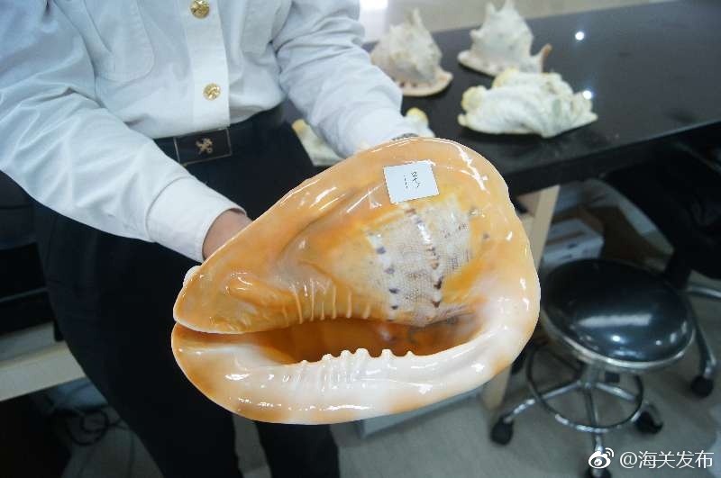 亚洲 性爱 网站