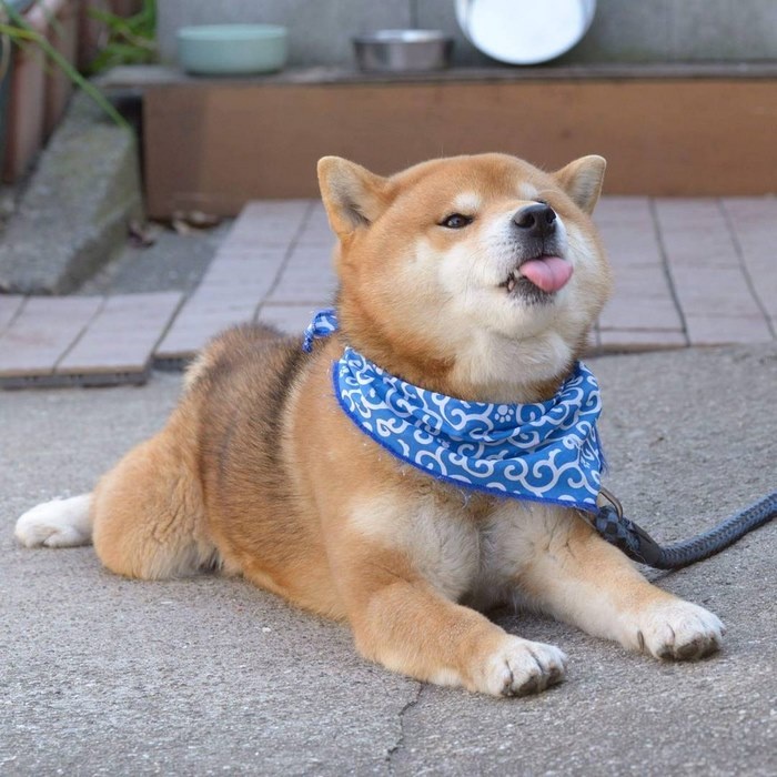 香港三级日本三级