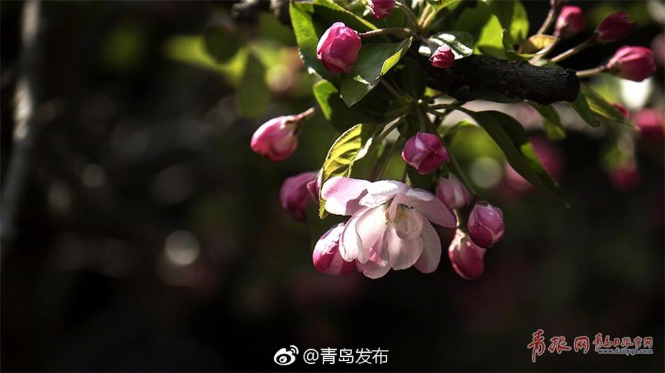 成人影视   做受