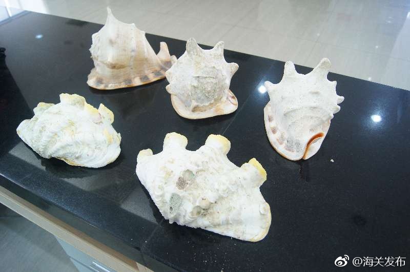 抽插性爱免费视频