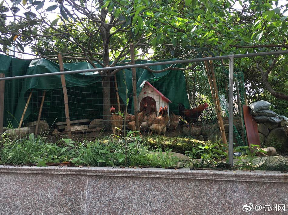 女教师大荫蒂毛茸茸