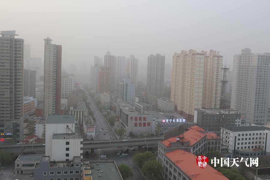 美国黄色视频高清在线。
