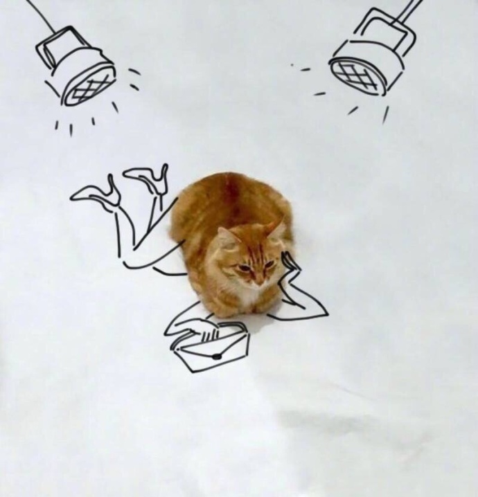 免费观看A级黄片