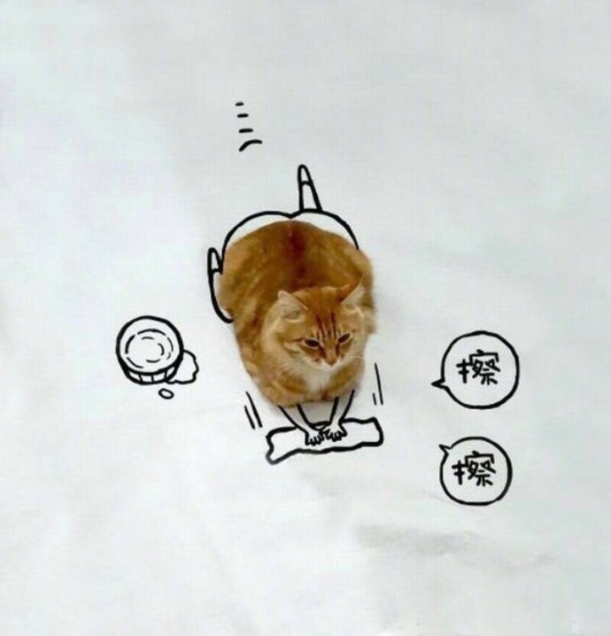 热带雨删掉的8分是多少