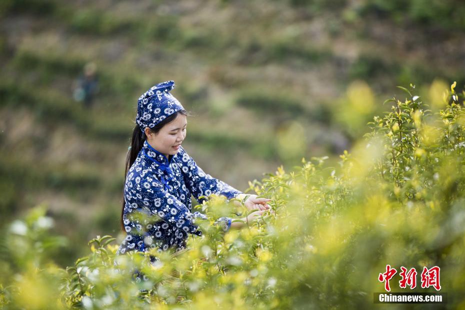 中文字幕无码人妻另类视频