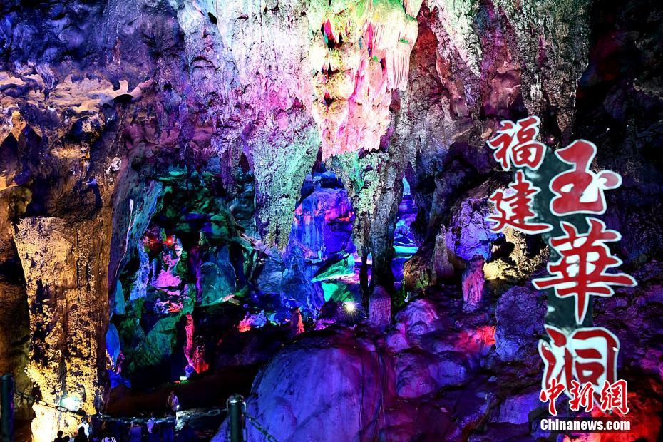 本本