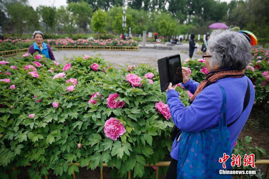 接电话顶c的说不出话play