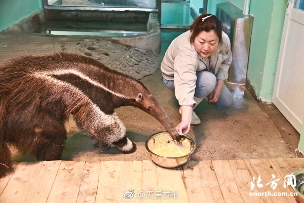 被强硬进入漂亮人妻