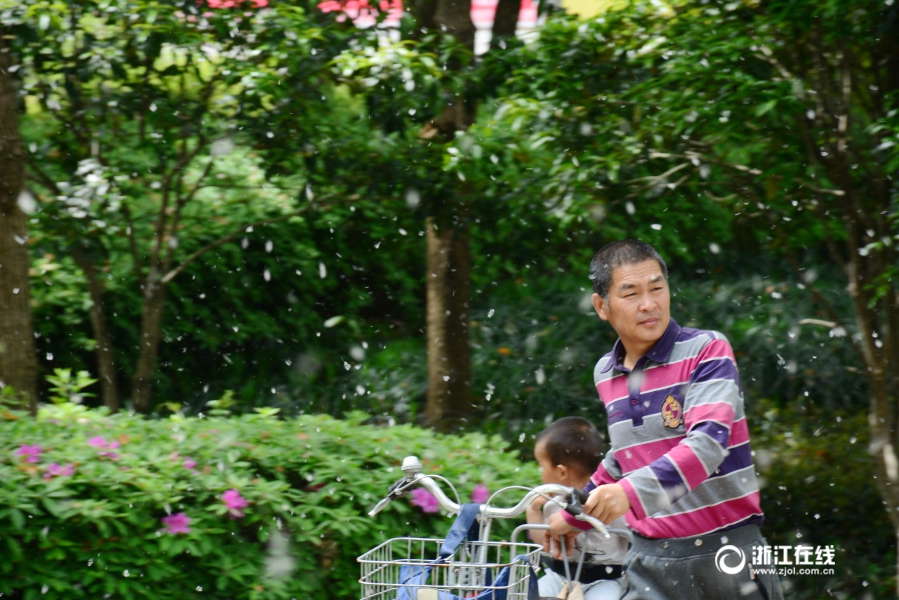 人妻走光