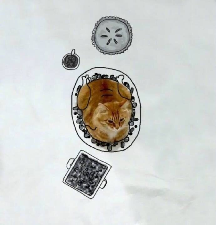 欧美黄片A级