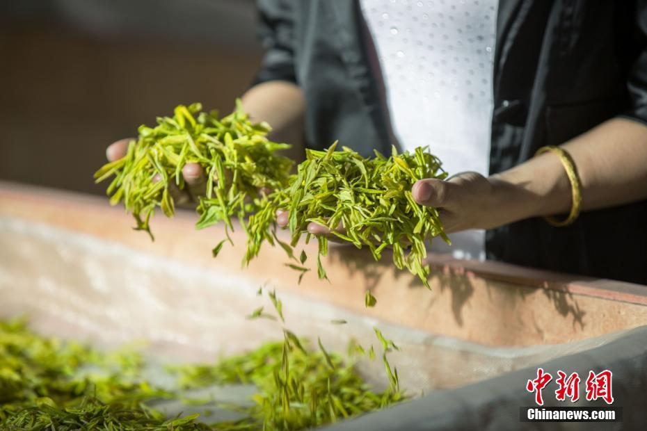 综合五月天