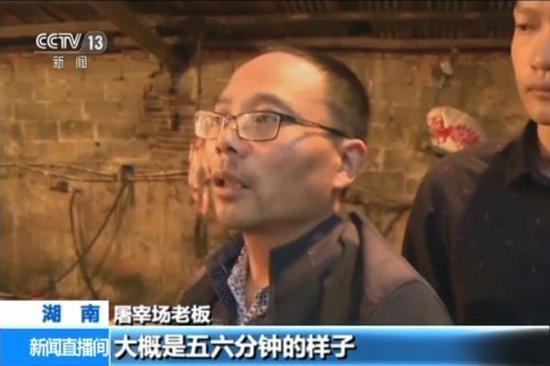 日本a视频