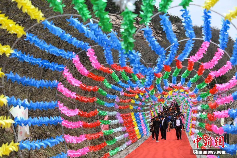免费看操逼