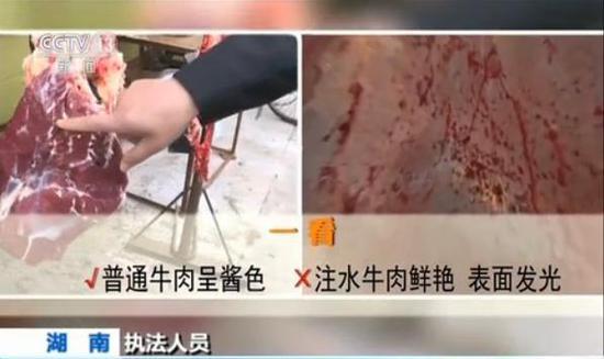 人人爽人人爽