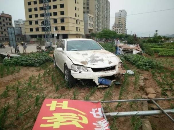 绅士ACE游戏安卓汉化像素风格