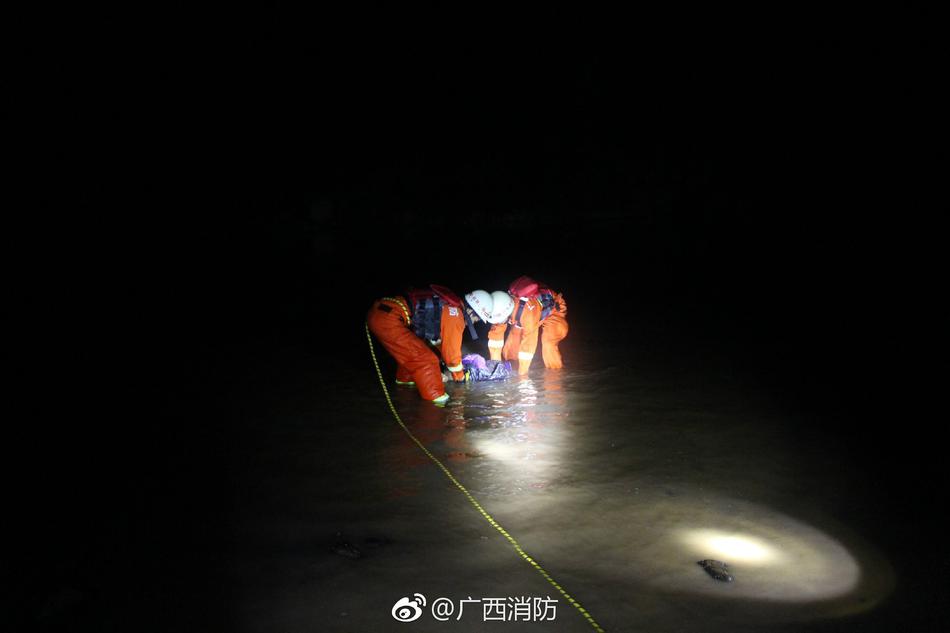 免费无遮挡 视频网站