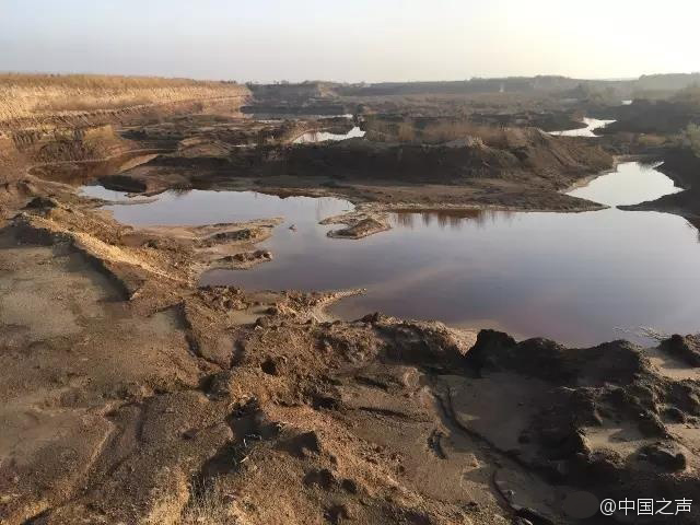 大伊香蕉