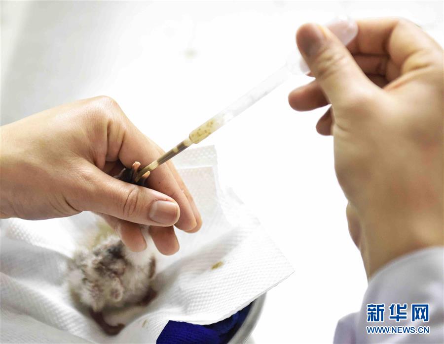 古代禁伦H肉皇上太后