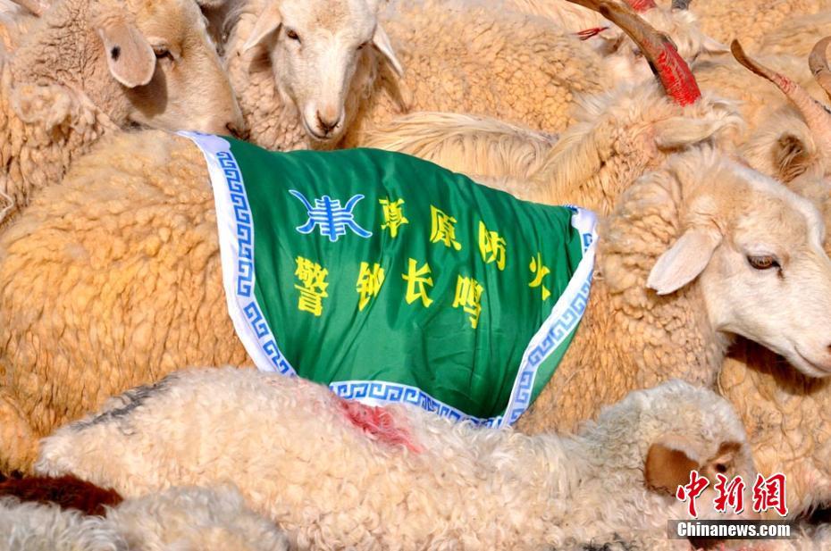 国产精品   A片在线观看报备