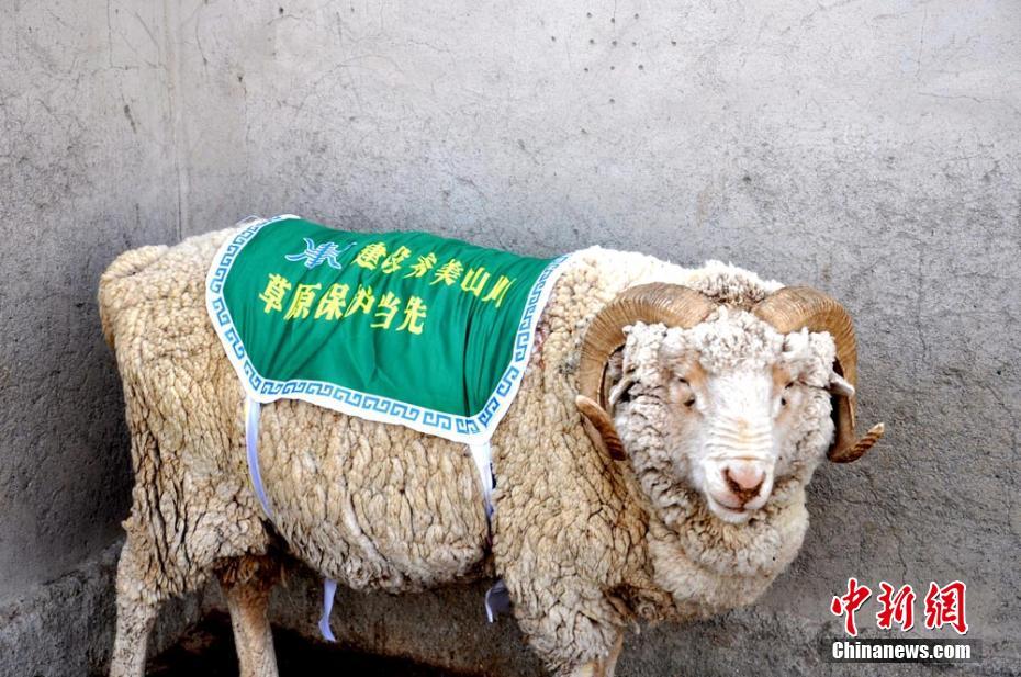 成人在线