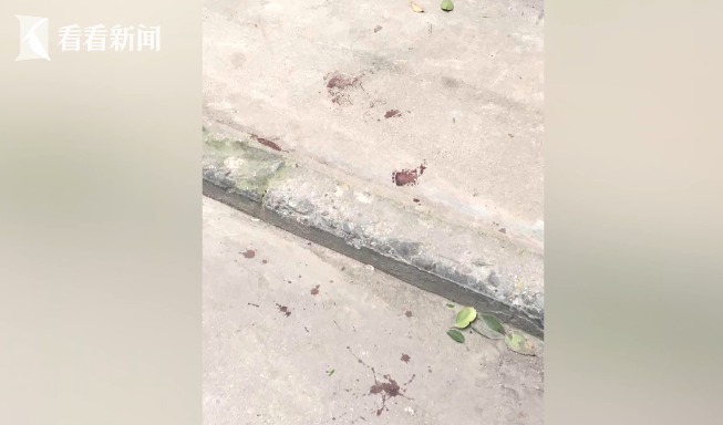 特黄三级电影网