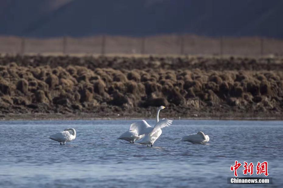 双腿张开被5个男人调教电影