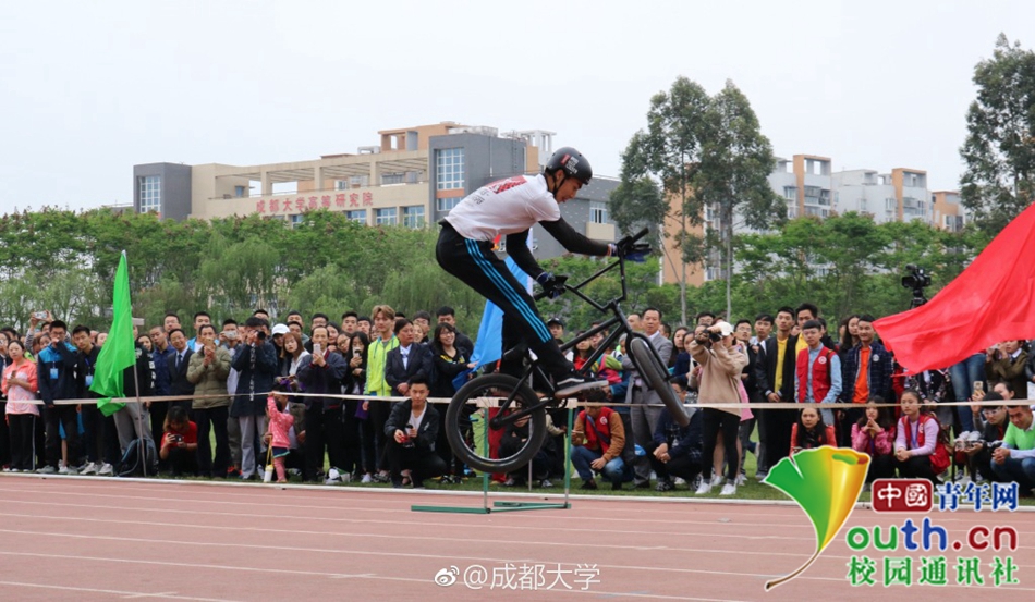 黄色网站的线。