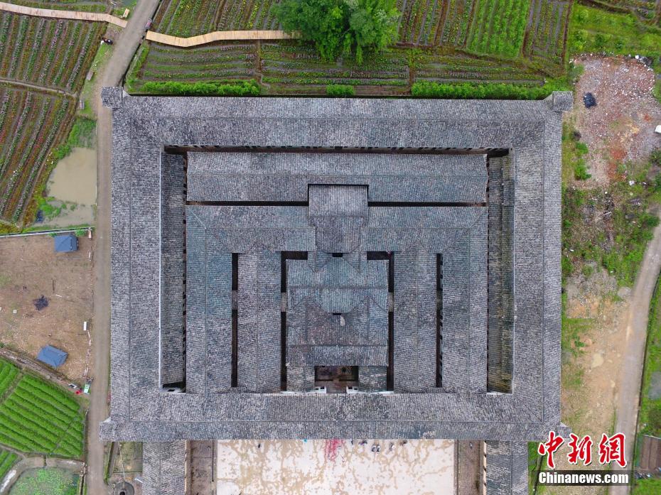 美女黄色像