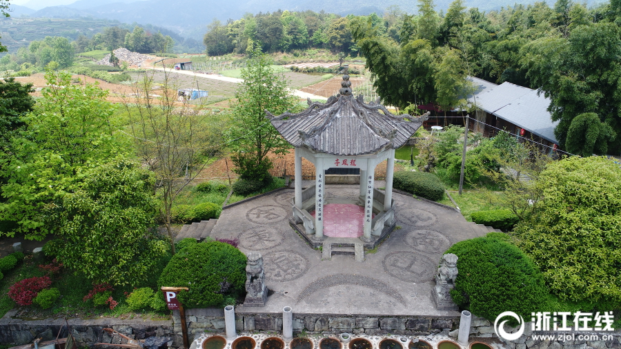 一级毛毛片
