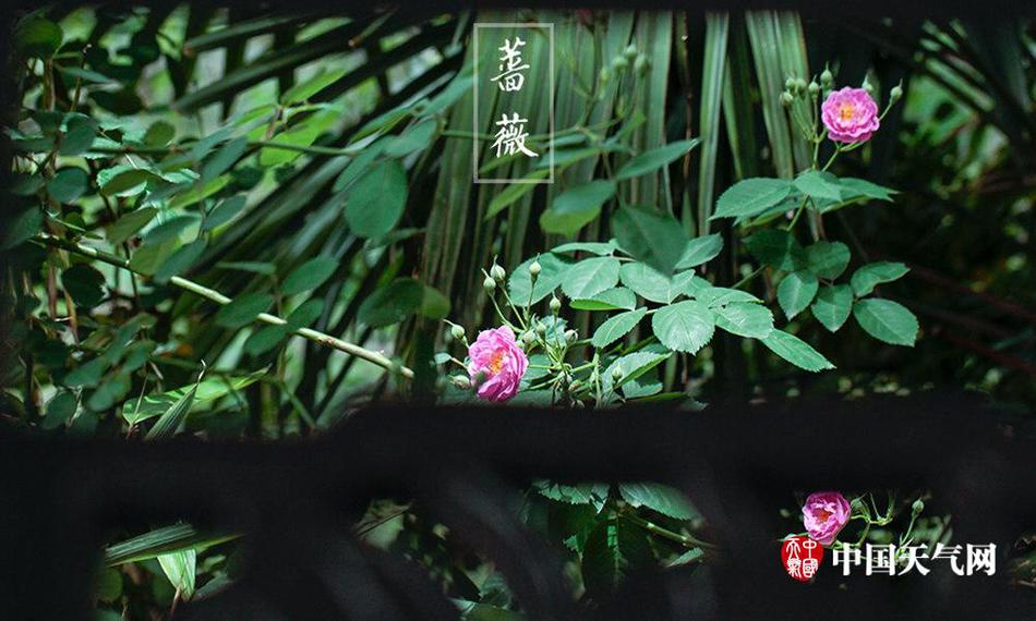 何浩文