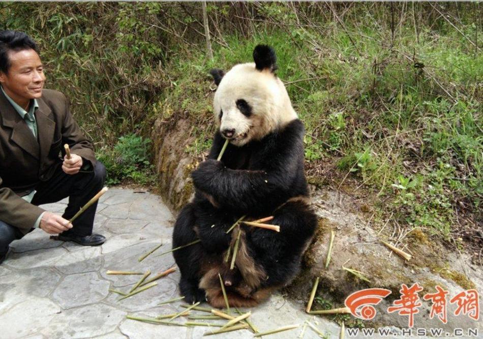 好湿 好紧 太爽了公交车动图