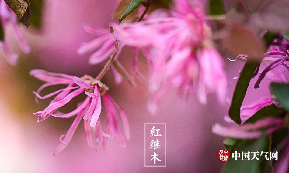 欧美三级乱伦人兽