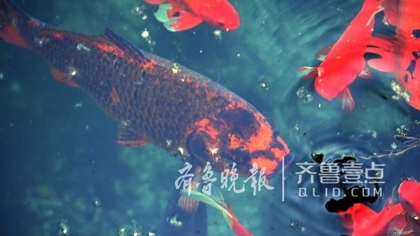 公交车上扒开腿做爰H男男