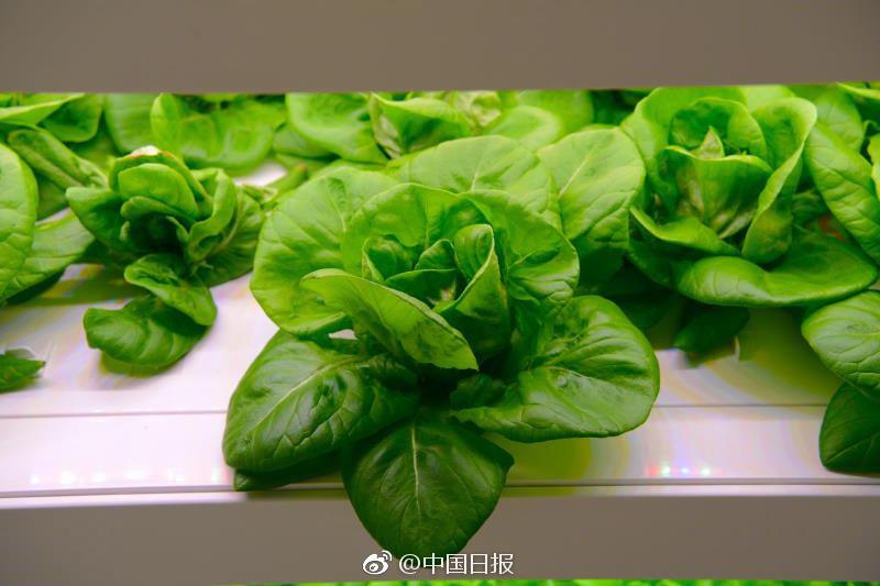 国产乱偷Bbw好