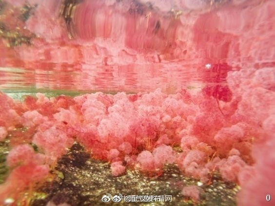 裸身美女视频下载