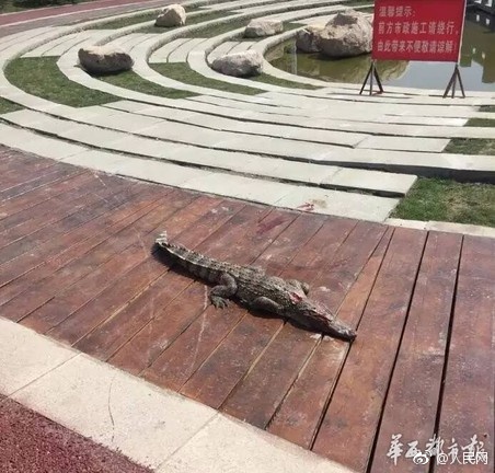 黄色电影。