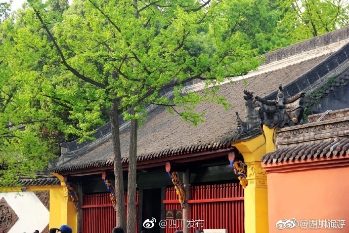 手机在线看无码黄色电影
