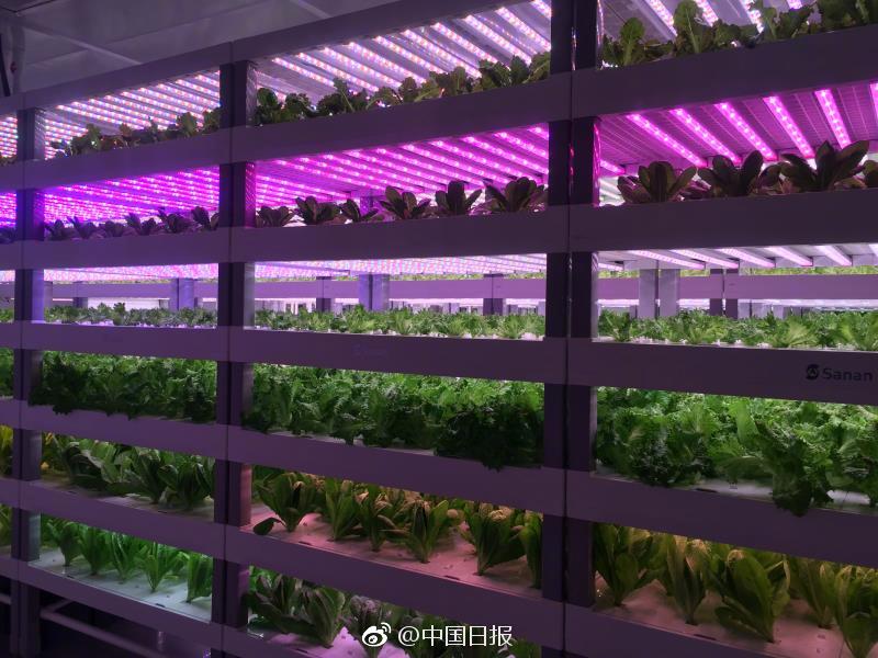 偷拍中年女性作爱