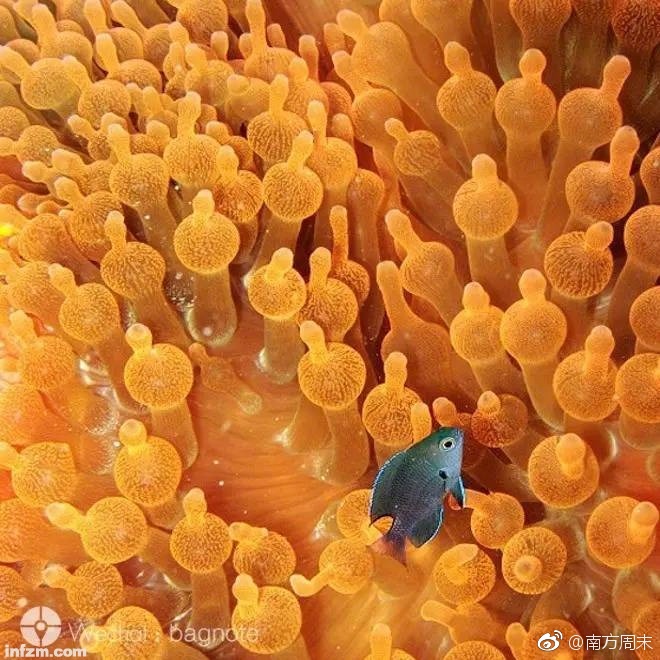 欧美黄色性生活片