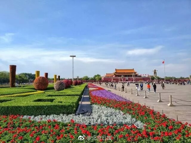 人妖泰国色情