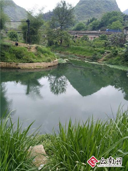 公在厨房强要了我