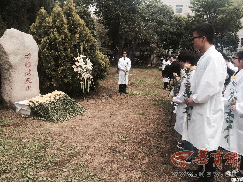 亚洲精品福利视频