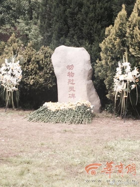 国产A级毛片久久久久久