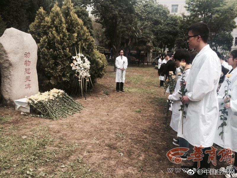 男人的 伸到 屁股里运