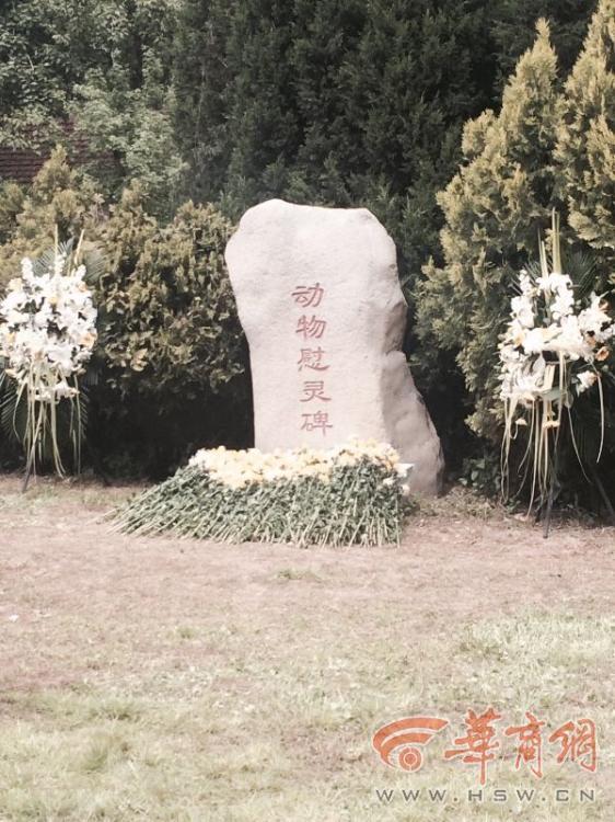 141 成人 网