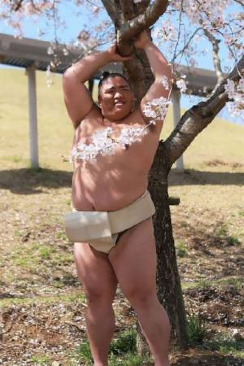 乱片Av网站