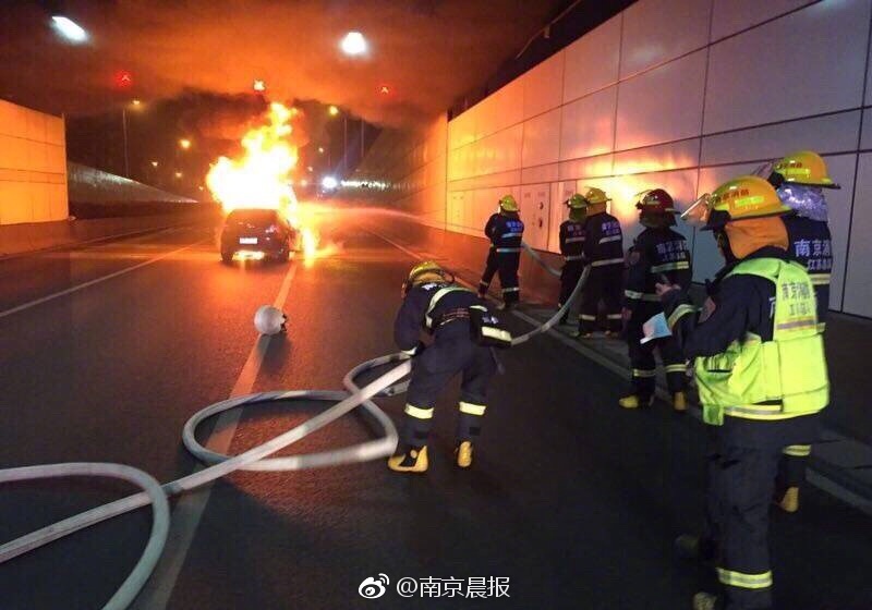 性插动态图